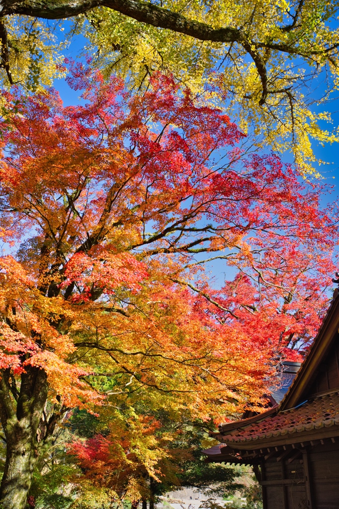 杉山白石神社-3