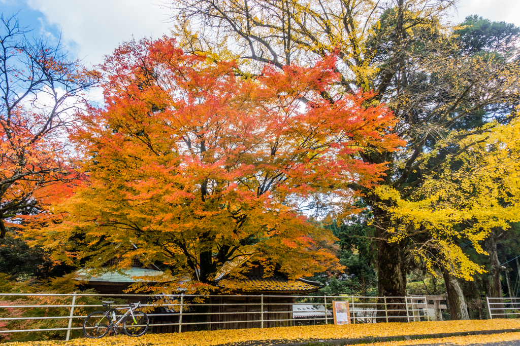 杉山白石神社前