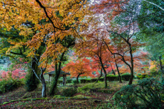 西渓公園-3