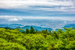 佐賀平野