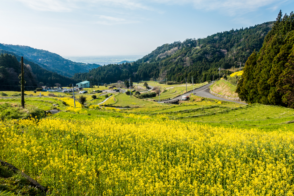 江里山棚田