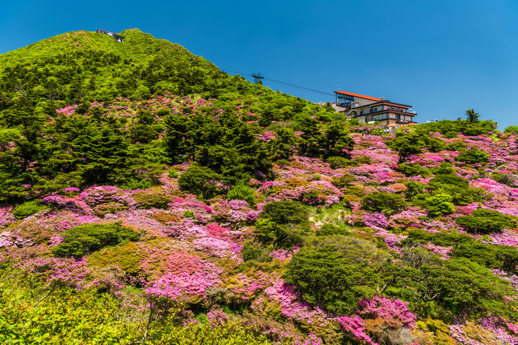 彩られる妙見岳