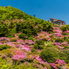 彩られる妙見岳