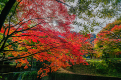 竜門峡-登山道入口-2