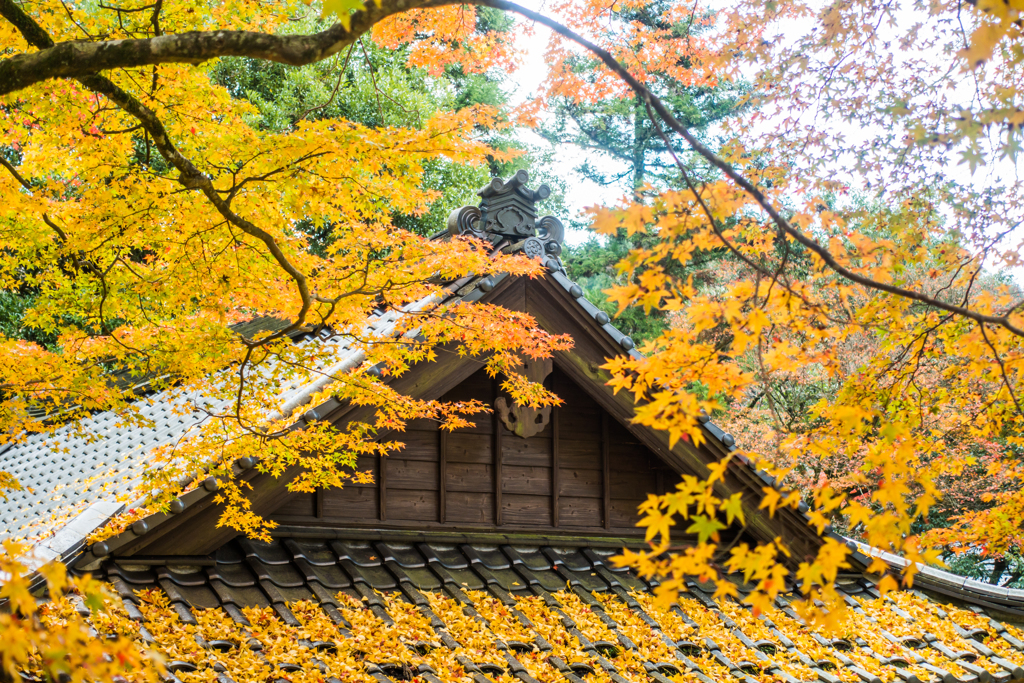 杉山白石神社にて