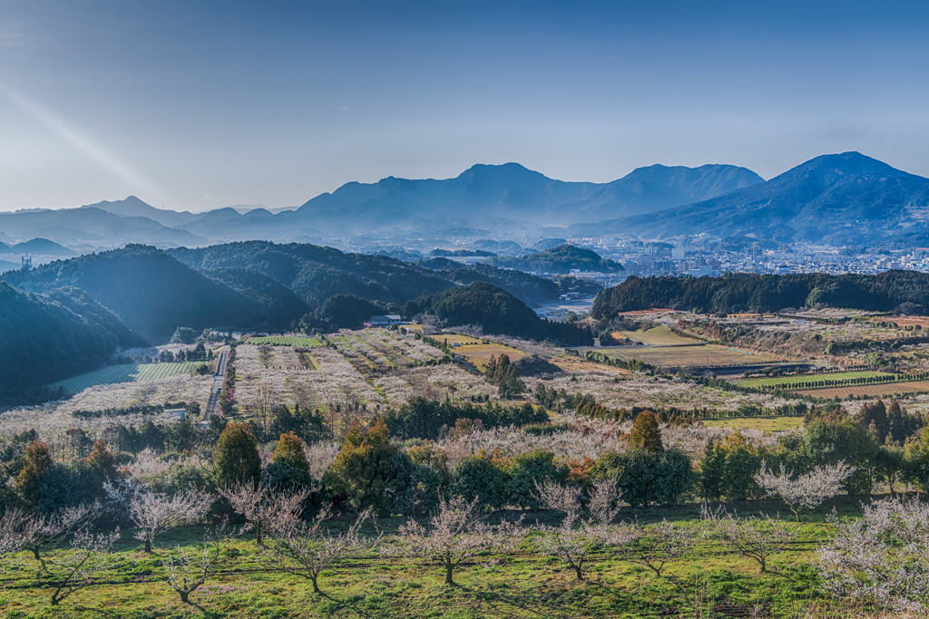 伊万里梅園の眺望-1