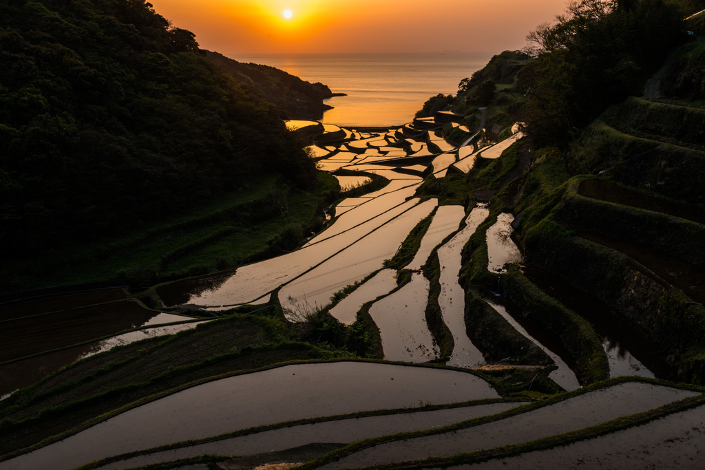 浜野浦2015.04.21_1838