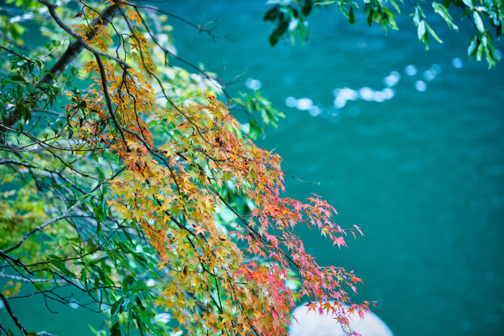 雄淵雌淵-3