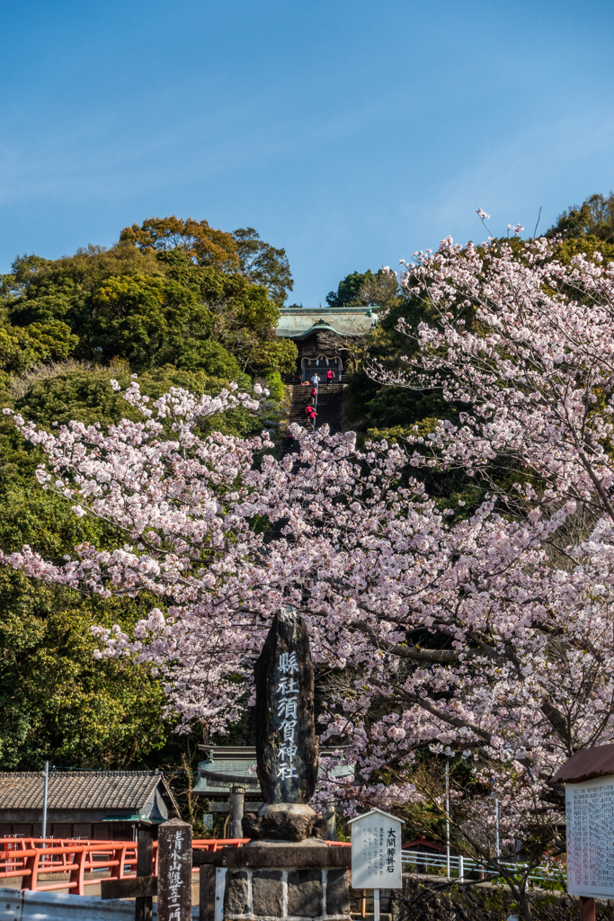 須賀神社前