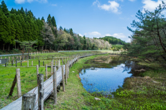 樫原湿原