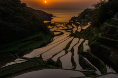 浜野浦2015.04.21_1841