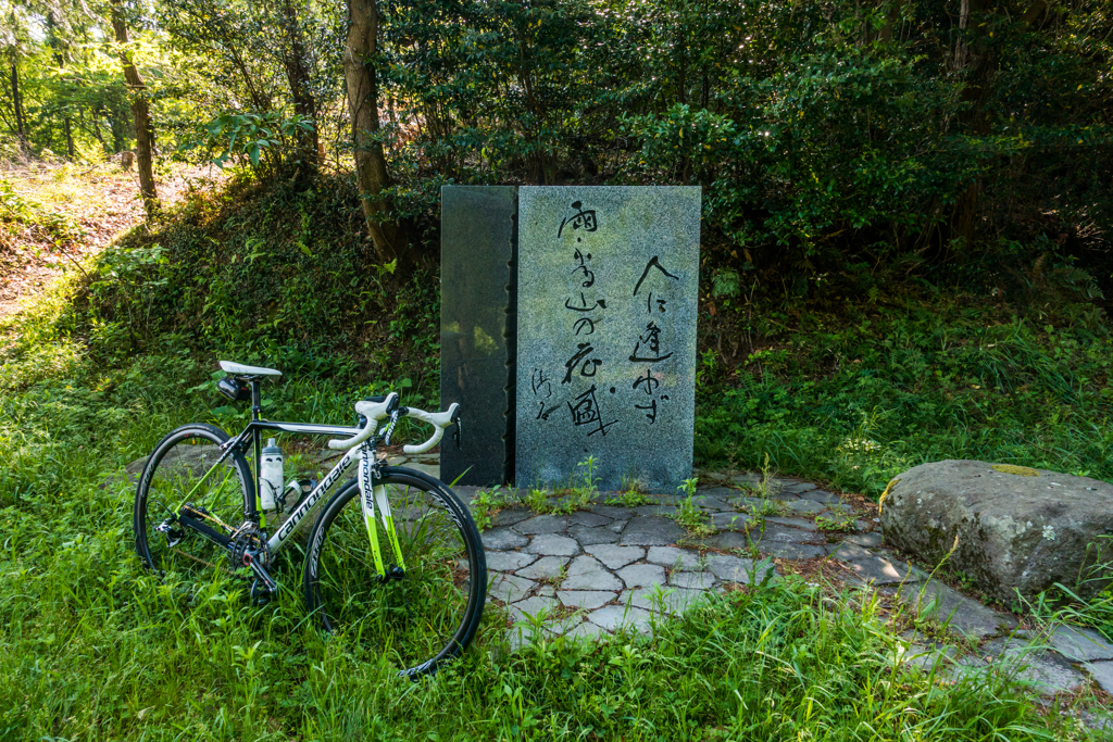 人に逢わず雨ふる山の花盛