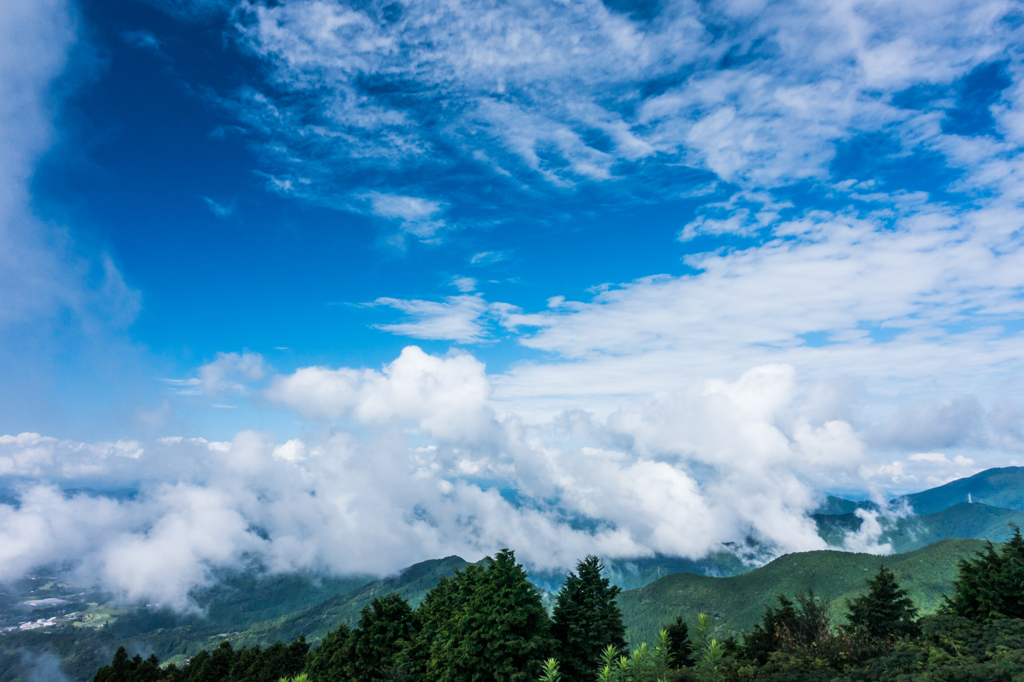上空は秋の雲