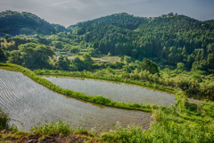 山間の田植え