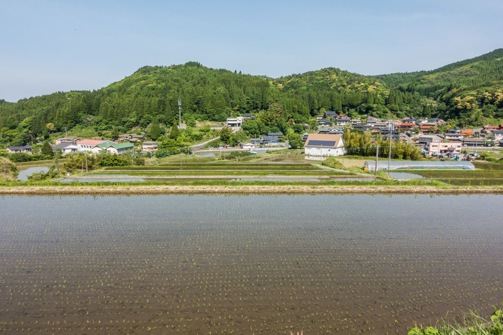 天川の棚田