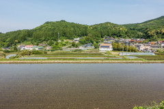 天川の棚田