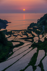 浜野浦2013.05.13-12