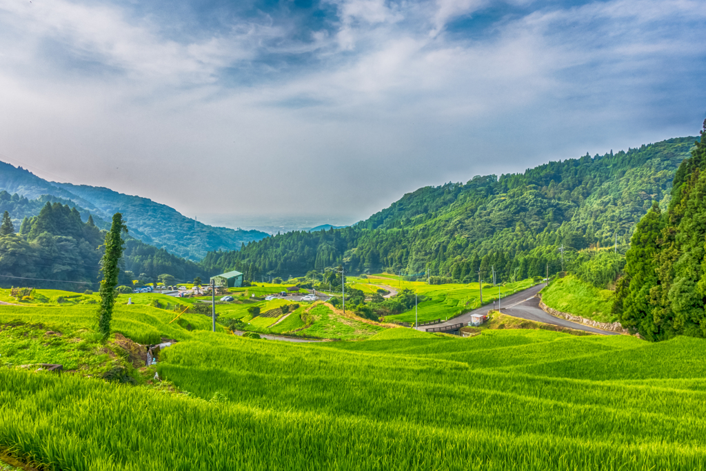 江里山の棚田-1