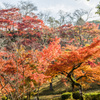 西渓公園奥の斜面
