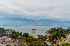 平松茶屋から