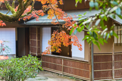 九年庵-客間裏_2014.11.20