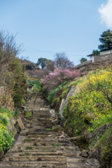 牛尾神社への道