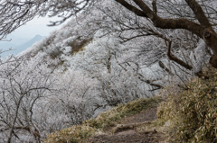 国見岳への登山道