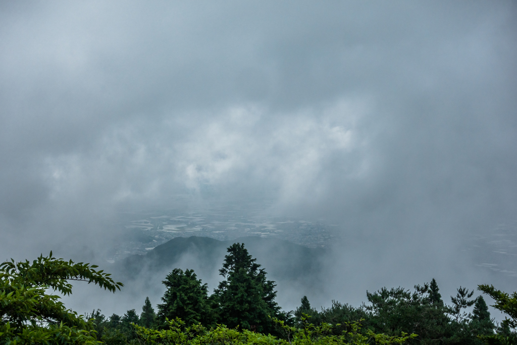 雲の下に水田