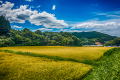 山間の田