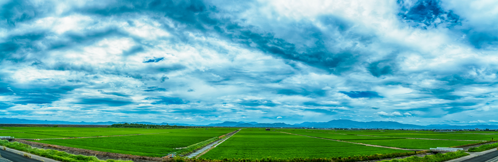 干拓地パノラマ-1