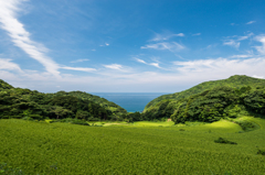 春日町と高越町の間の棚田