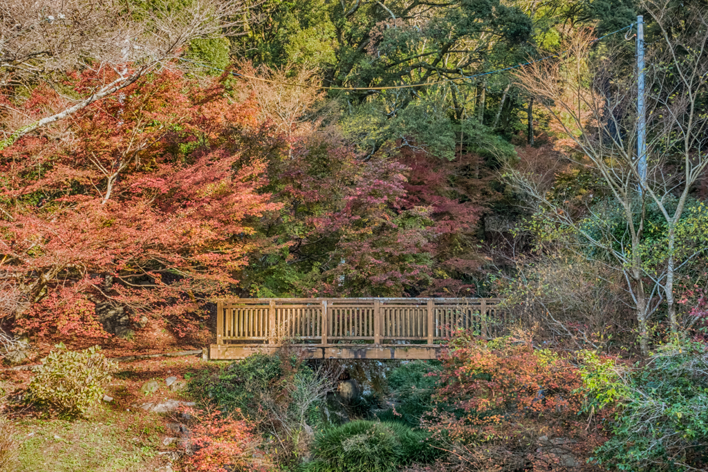 清水の滝の紅葉-1