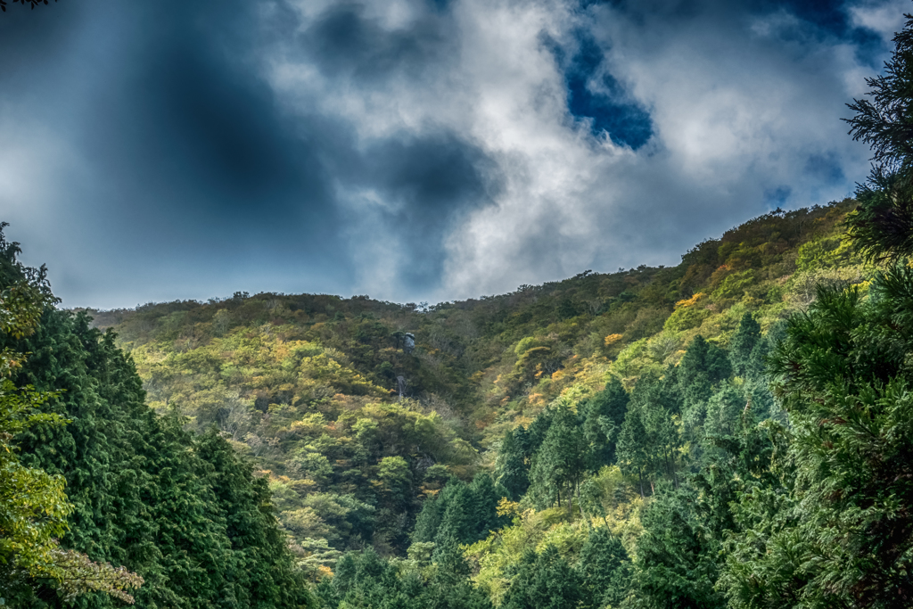 もうすぐ紅葉