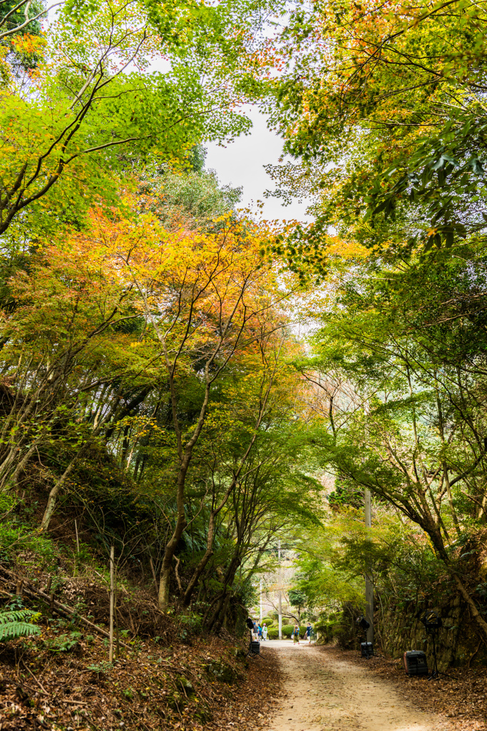 磁石場への通路-2