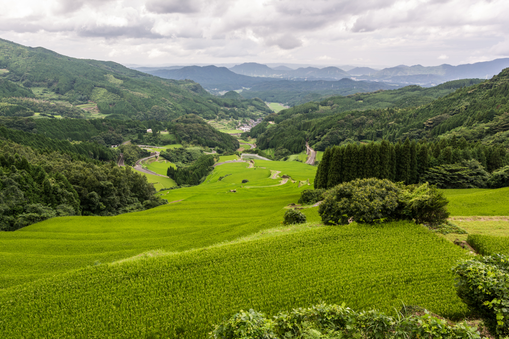 蕨野の棚田-展望所から