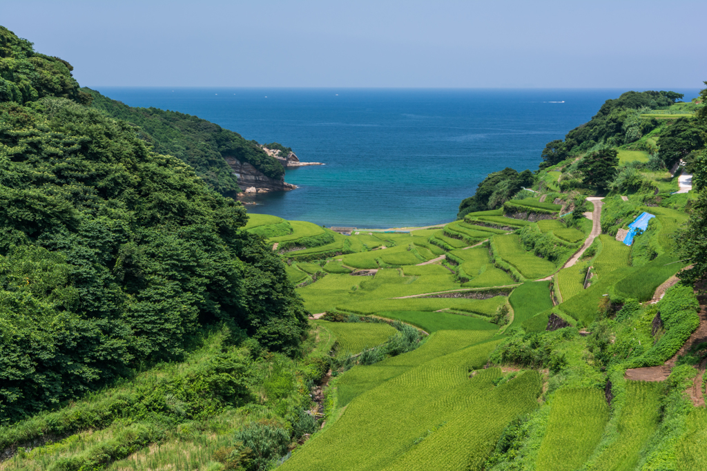 夏の浜野浦-2