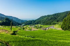 夏の江里山