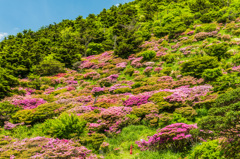 午後の仁田峠-2