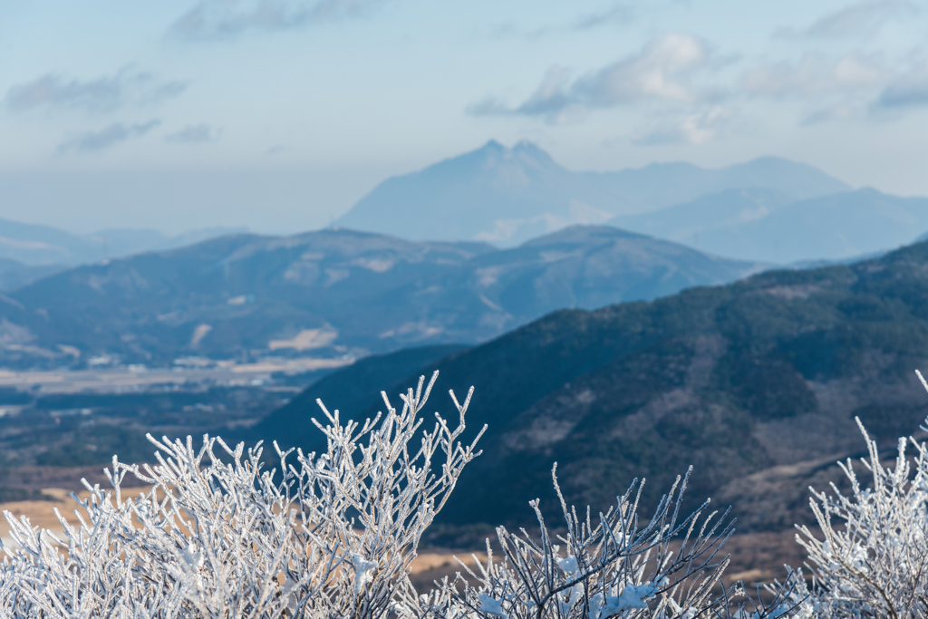 霧氷の向こうに由布岳