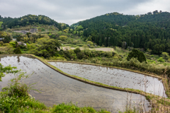山間の棚田