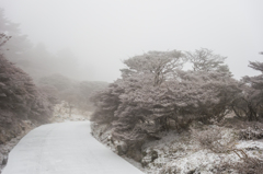 登山口へ