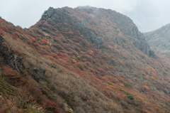 北峰の尾根