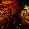清水竹灯り-竹灯篭と紅葉-2
