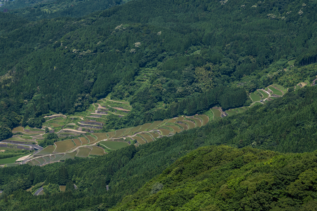 八幡岳から太平棚田