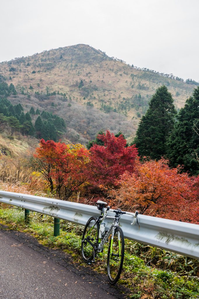 雨山と紅葉