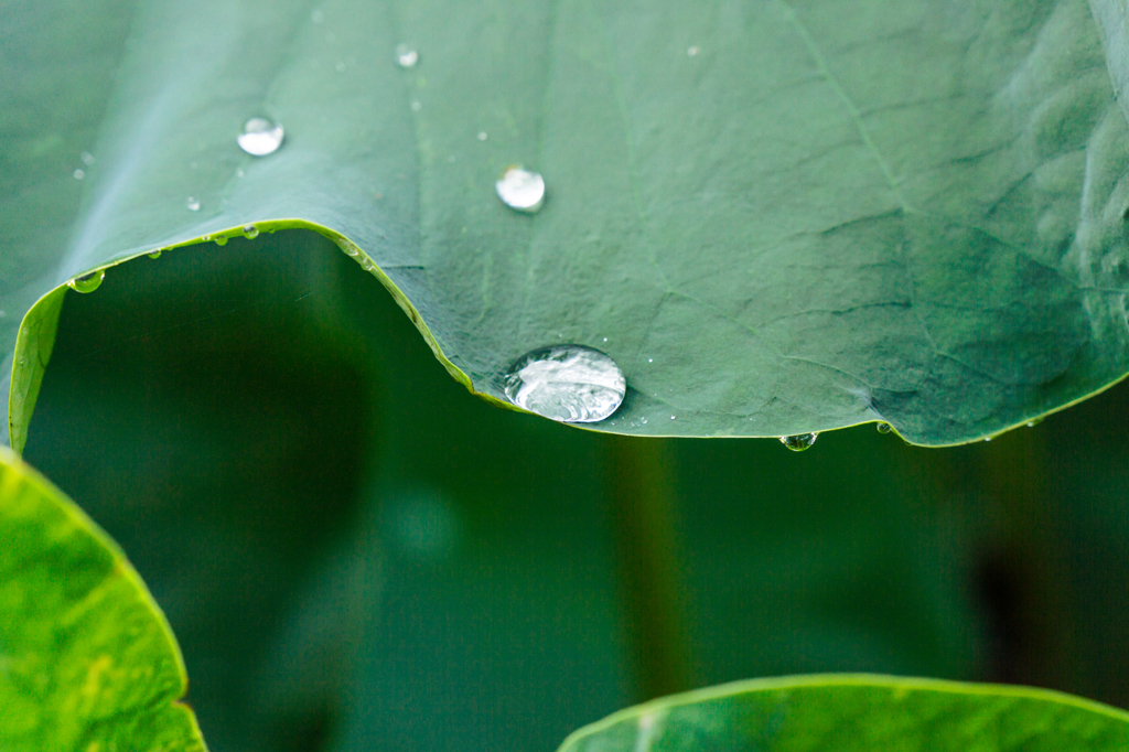 Silver drops
