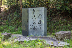 人に逢わず雨ふる山の花盛
