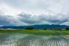 山は雨雲