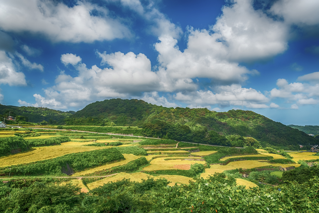 座川内の棚田