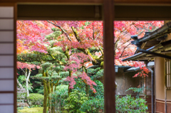 九年庵-主屋越しに紅葉_2014.11.20